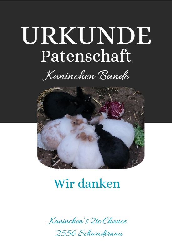 Patenschaft Kaninchenbande Patenschaft Kaninchenbande